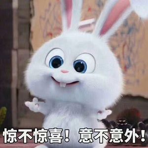 Meet your Posher, Bing